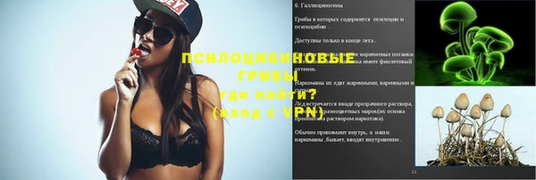 мдпв Нижний Тагил